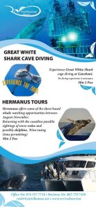 FB_IMG_1729868999393